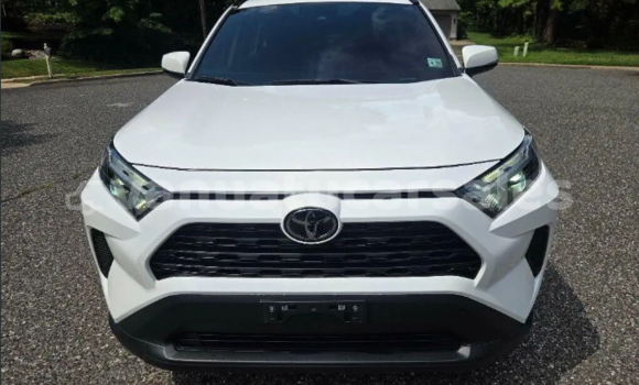 Buy Used Toyota RAV4 White Car in Asanvari in Penama