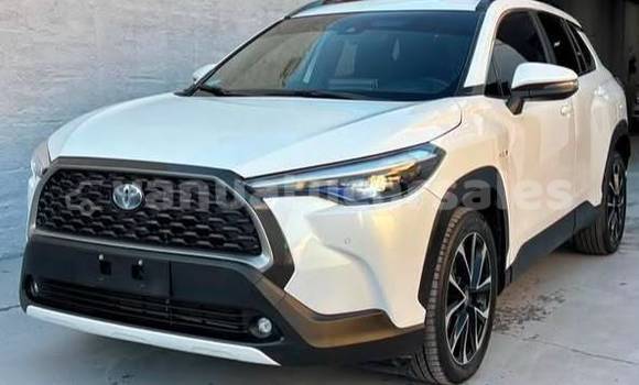 Buy Used Toyota Corolla Cross White Car in Port Vila in Shefa