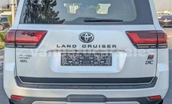 Acheter Occasion Voiture Toyota Land Cruiser Blanc à Port Vila, Shefa Acheter Occasion Voiture Toyota Land Cruiser Blanc à Port Vila, Shefa