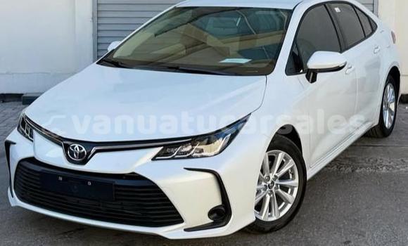 Buy Used Toyota Corolla White Car in Port Vila in Shefa