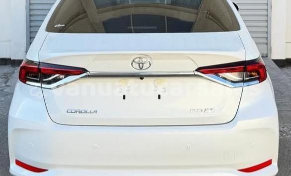 Acheter Occasion Voiture Toyota Corolla Blanc à Port Vila, Shefa Acheter Occasion Voiture Toyota Corolla Blanc à Port Vila, Shefa