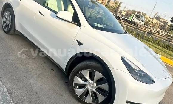 Acheter Occasion Voiture Tesla Model 3 Blanc à Port Vila, Shefa Acheter Occasion Voiture Tesla Model 3 Blanc à Port Vila, Shefa