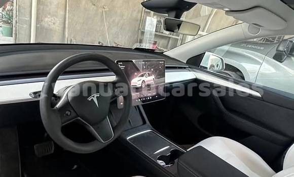 Acheter Occasion Voiture Tesla Model 3 Blanc à Port Vila, Shefa Acheter Occasion Voiture Tesla Model 3 Blanc à Port Vila, Shefa